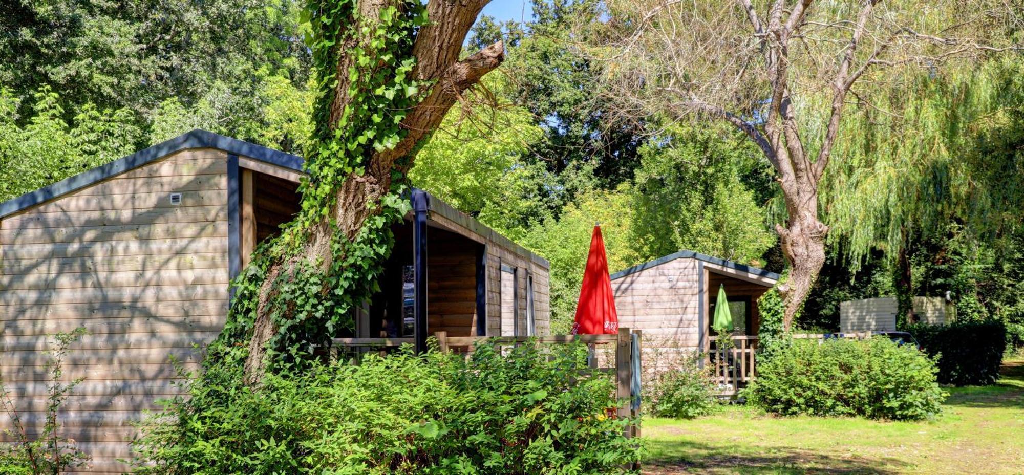 Camping De La Plage Benodet - 400 Metres De La Plage Exterior photo